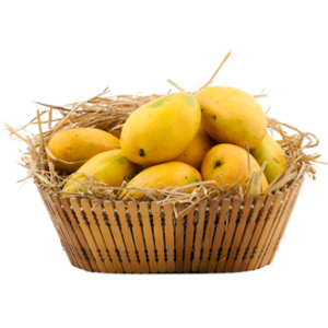 100% Premium Quality Garden Fresh Mango